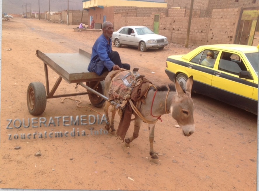 ولد اعمر شين على حماره في شوارع مدينة الزويرات